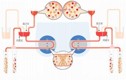 Nanoscale cell sorting magnetic bead workflow
