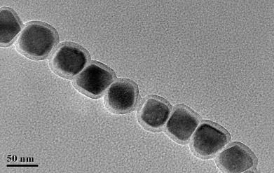Electron microscopy image of the magnetosome chain inside Vibrio GKRZ