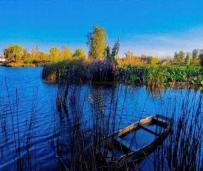 Wetland habitat where the Vibrio GKRZ strain was first isolated