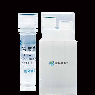 BNCM biogenic nanocrystal magnetic bead vial